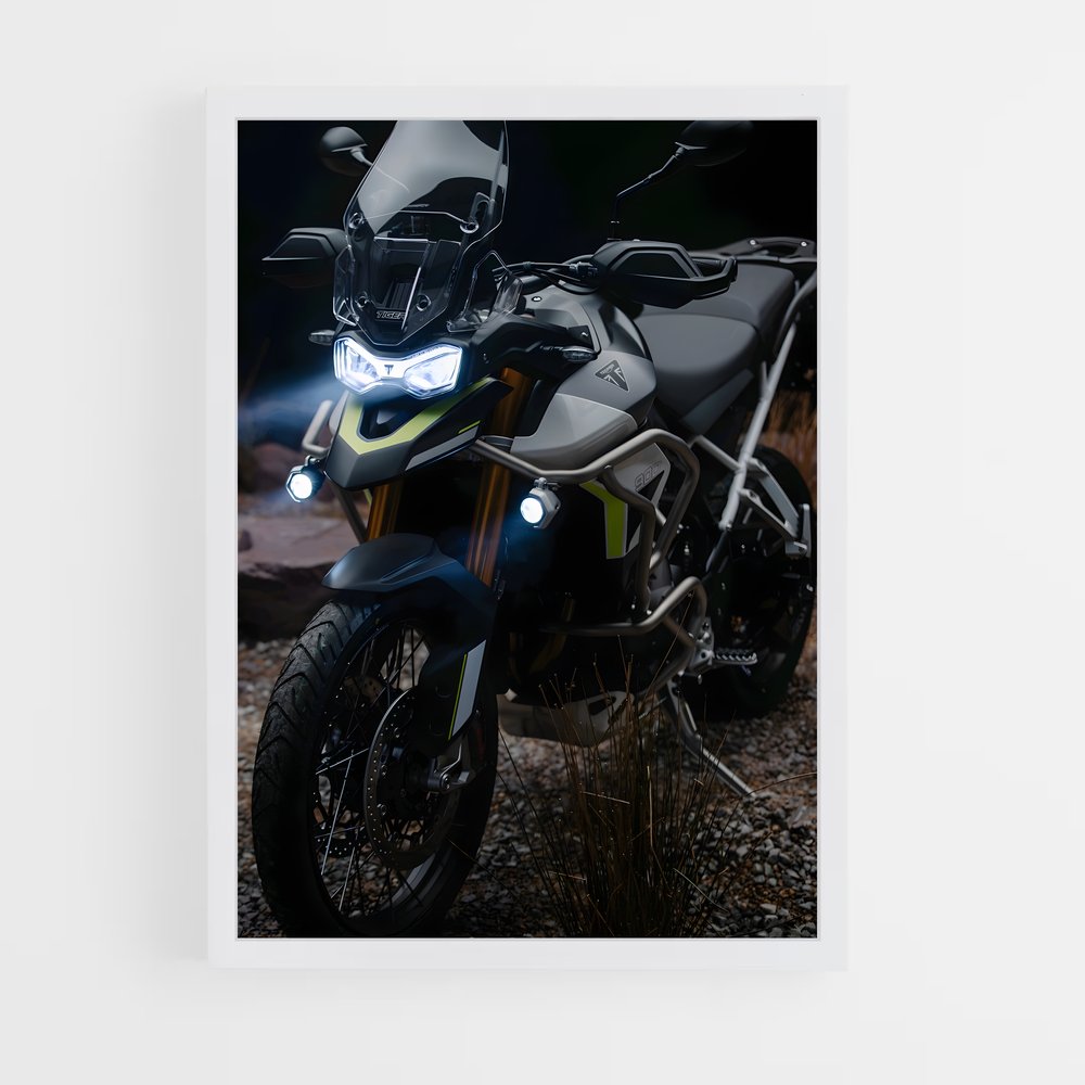 Poster Félin Éblouissant 900 – affiche Triumph (vue 3)